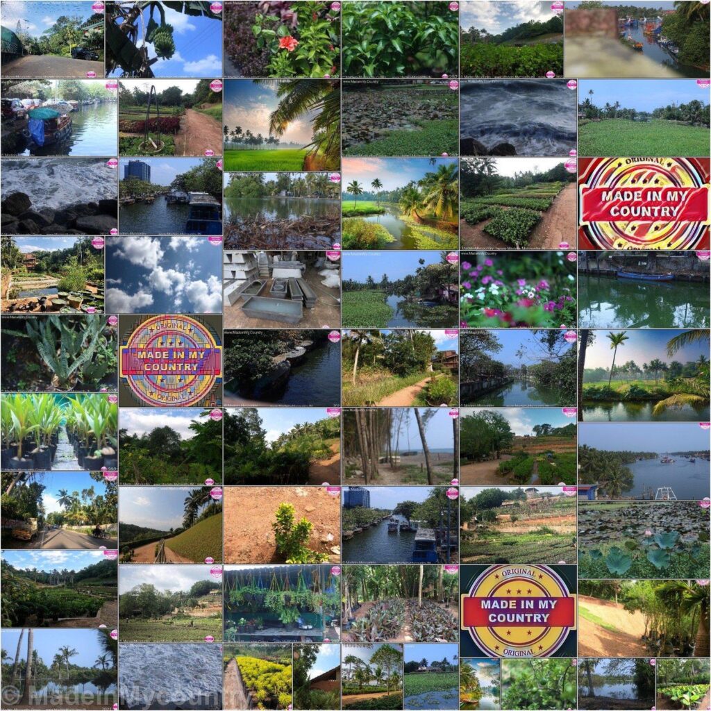 MadeinMycountry India! MadeinMycountry is a global platform that celebrates and supports local history, culture, art and nature conservation efforts.